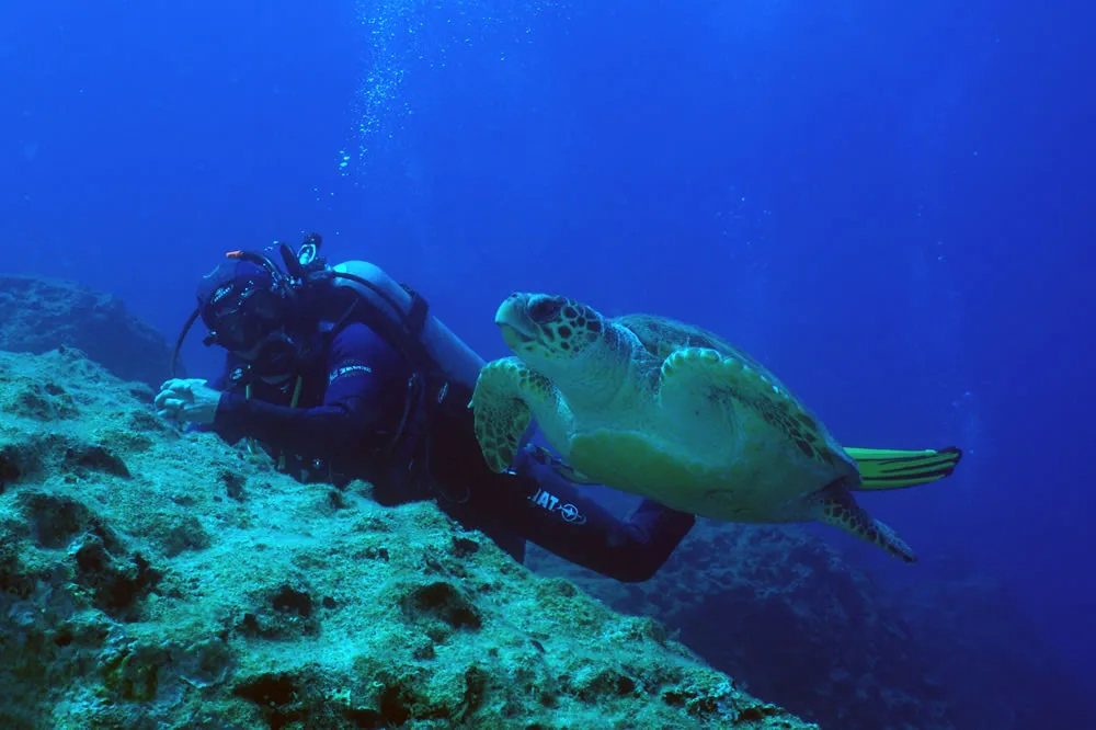 Diving